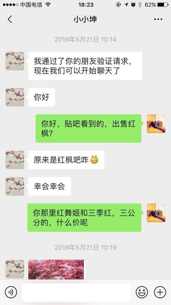 为什么宿迁卖红枫下山桩的骗子多 图片