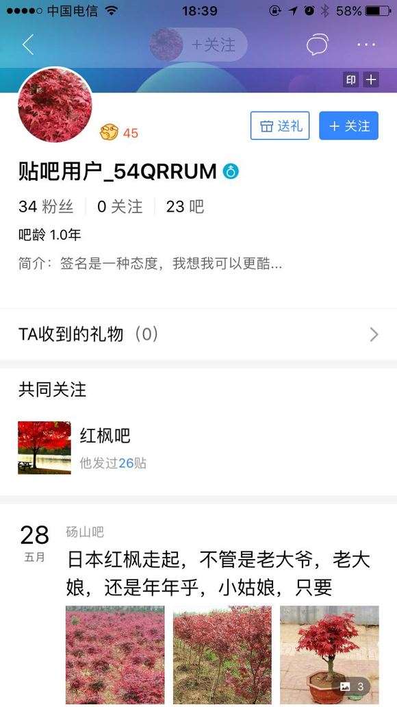 为什么宿迁卖红枫下山桩的骗子多 图片
