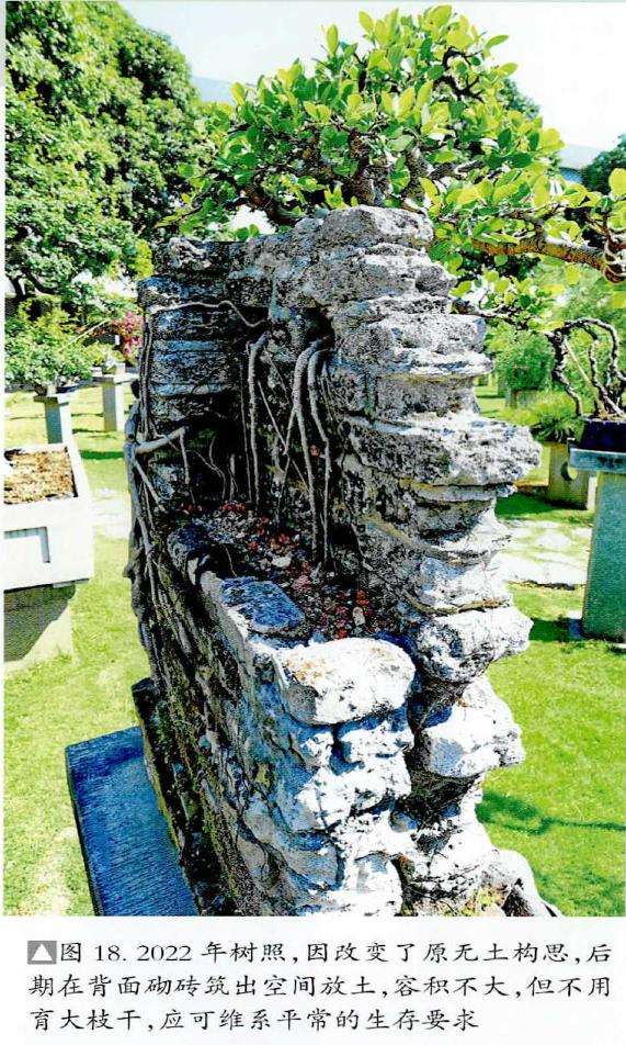 图解 韩学年怎么制作附壁榕树盆景的19个步骤