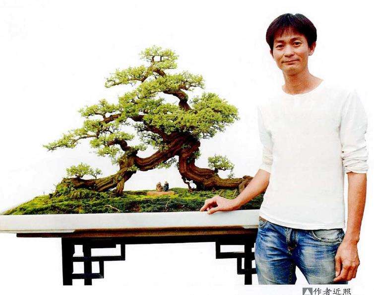 图解 铁包金盆景怎么制作的8个步骤