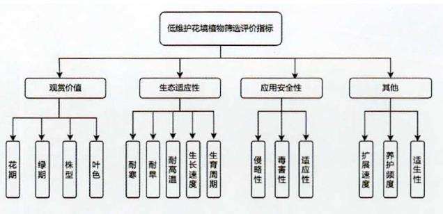 低维护花境怎么植物筛选的3个方法