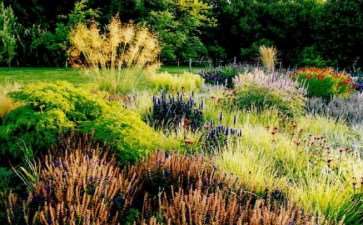 低维护花境怎么植物筛选的3个方法