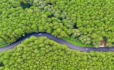 为什么造成低效生态林 有6个因素