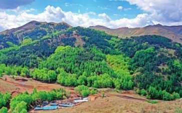 低效生态林怎么改造的3个现实意义