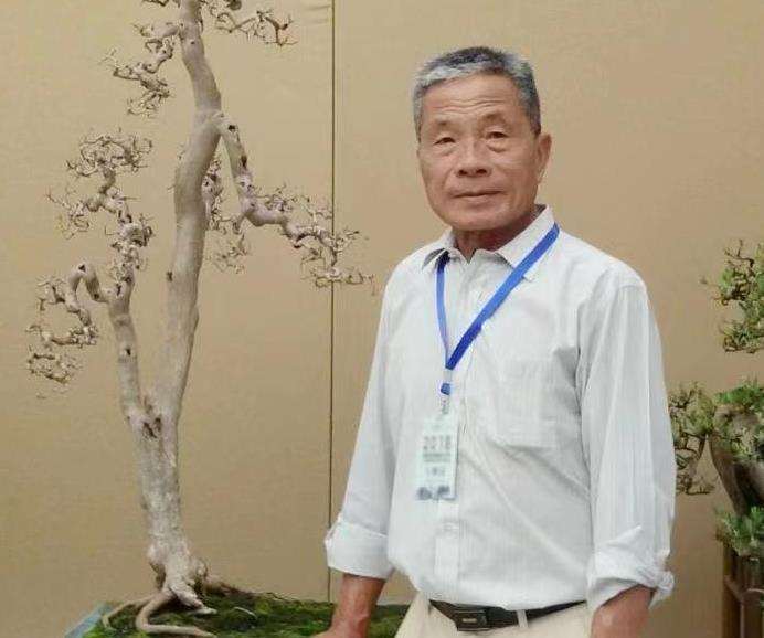 广州盆景大师 陆志伟