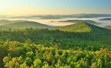 桔子塘风电场林地怎么恢复植被的5个方案