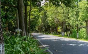 森林公园旅游资源和生态环境的4个保护措施