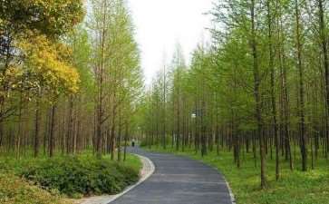 保护区森林公园旅游资源发展过程中存在的3个问题