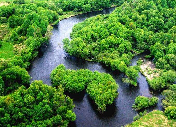 怎么加强基层生态环境应急能力的建设策略