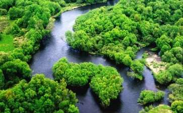 怎么加强基层生态环境应急能力的建设策略