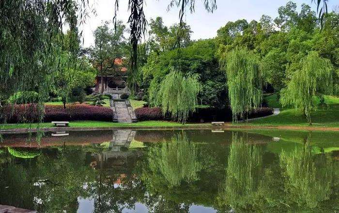 城市公园植物景观