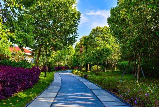城市公园植物景观