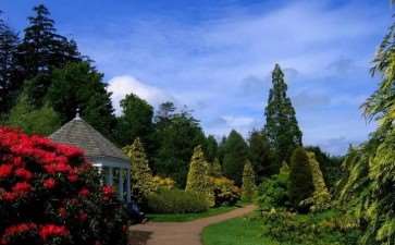 风景园林怎么养护的4个措施