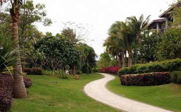 新时代项目建设对园林植物造景的3个要求