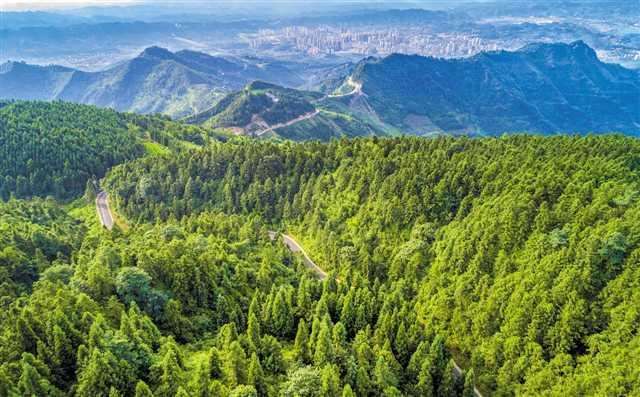 林业无公害病虫害