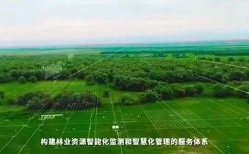 干旱地区林业技术怎么推广的5个措施