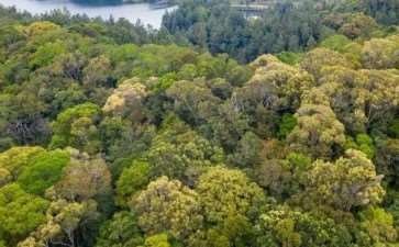 林业技术推广在干旱地区出现的2个问题