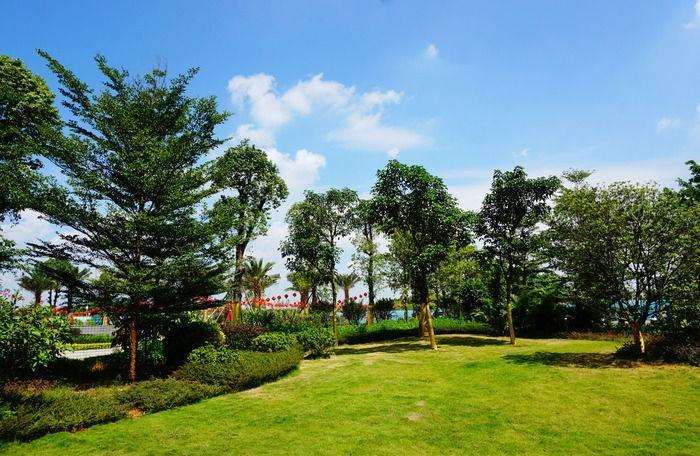 影响园林苗木移植成活率的4个因素