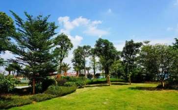 影响园林苗木移植成活率的4个因素