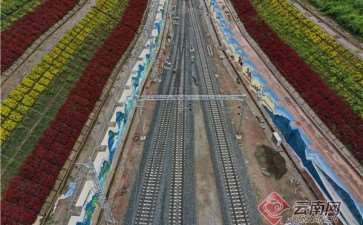 玉溪至磨憨铁路绿色通道工程的6个设计研究