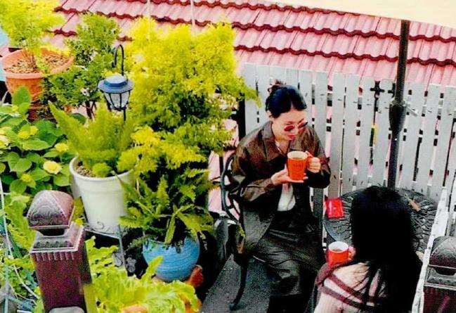 多肉植物治好了我的抑郁症