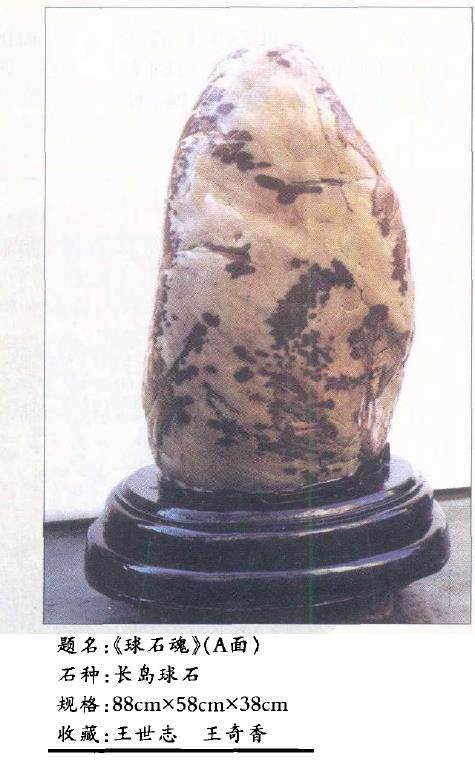 烟台赏石爱好者王世志