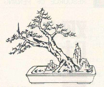 李善春怎么设计山桔盆景的4个步骤 图片