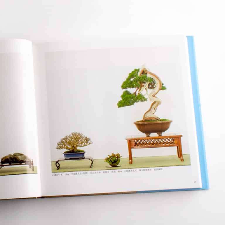 看老外使用展览书籍研究盆景的方法