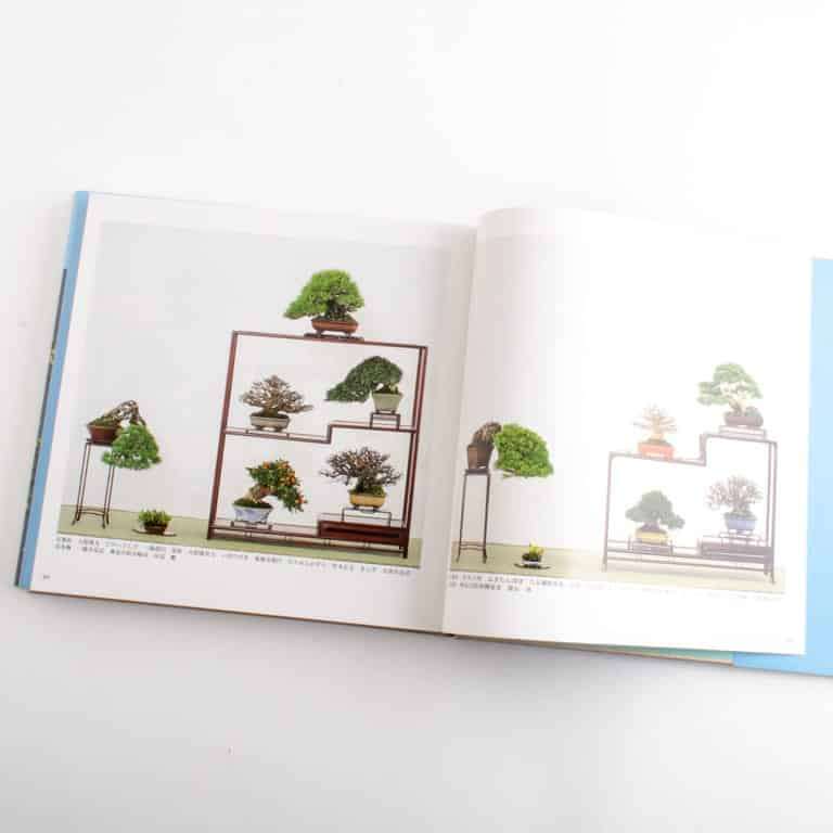 看老外使用展览书籍研究盆景的方法