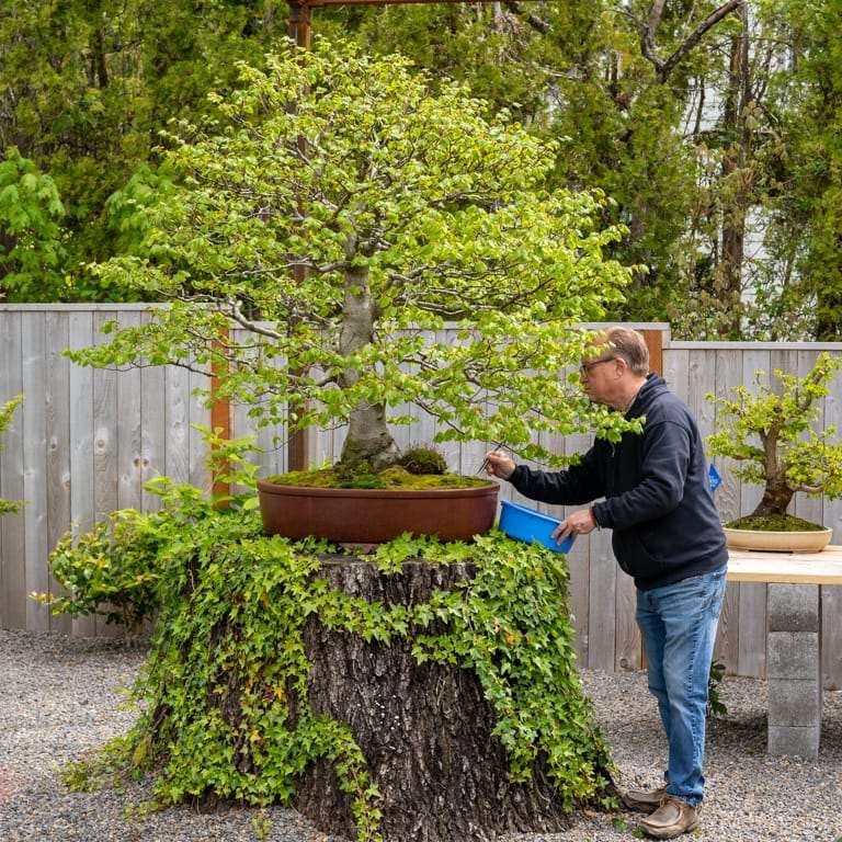 2022 参观俄勒冈州安德鲁的盆景花园