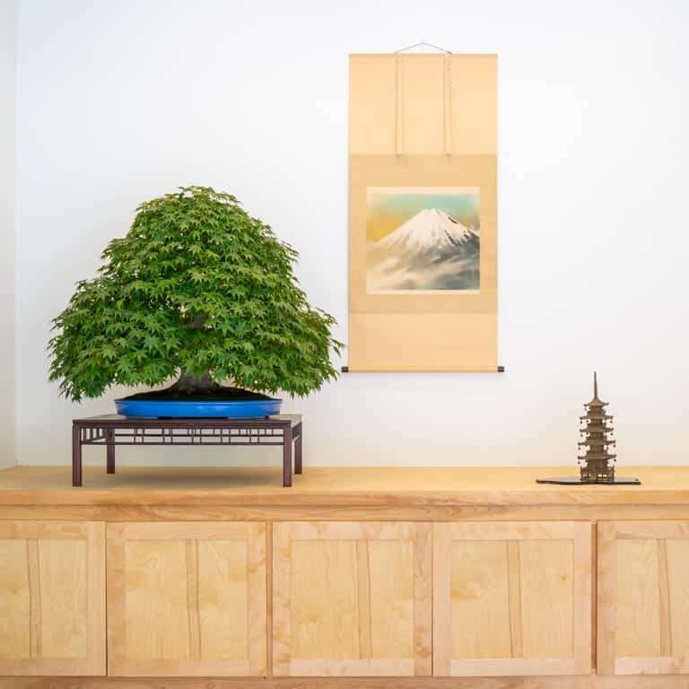 2022 参观俄勒冈州安德鲁的盆景花园