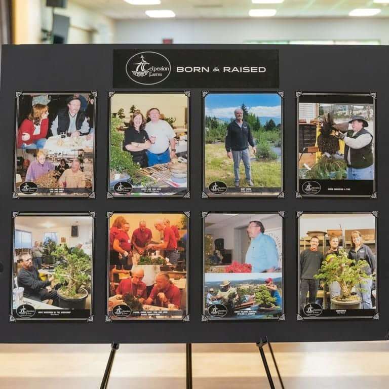 2022 美国波特兰盆景研讨会 图片