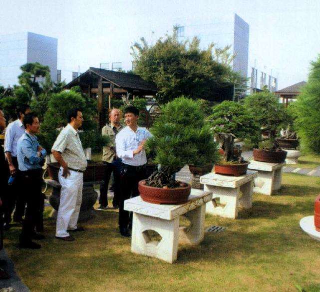 中国私家盆景俱乐部首届联谊会在苏州举办
