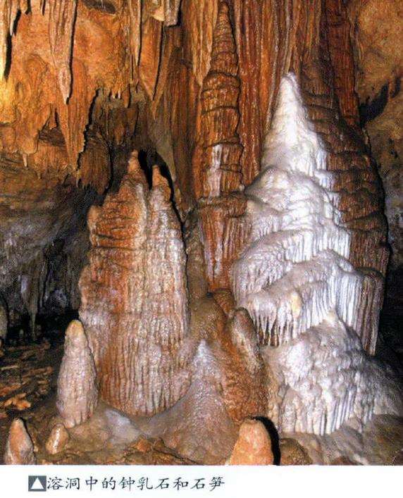 石灰岩类景观奇石的成因与产出环境2