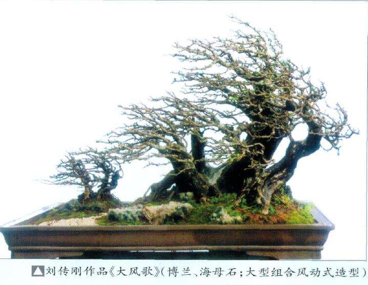 动势盆景的3个理论基础是哪些