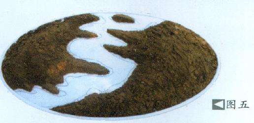 图解 水泥岸边式垂柳型三春柳盆景的制作