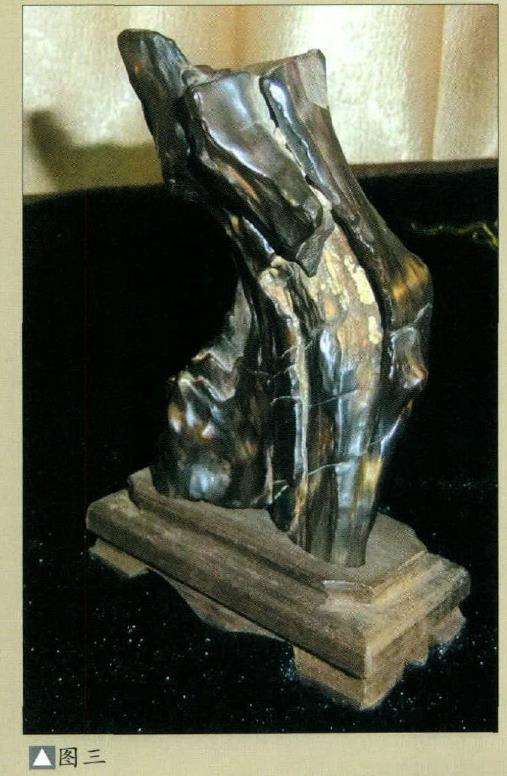 木化石更承载了人类赏石艺术的文化内涵3