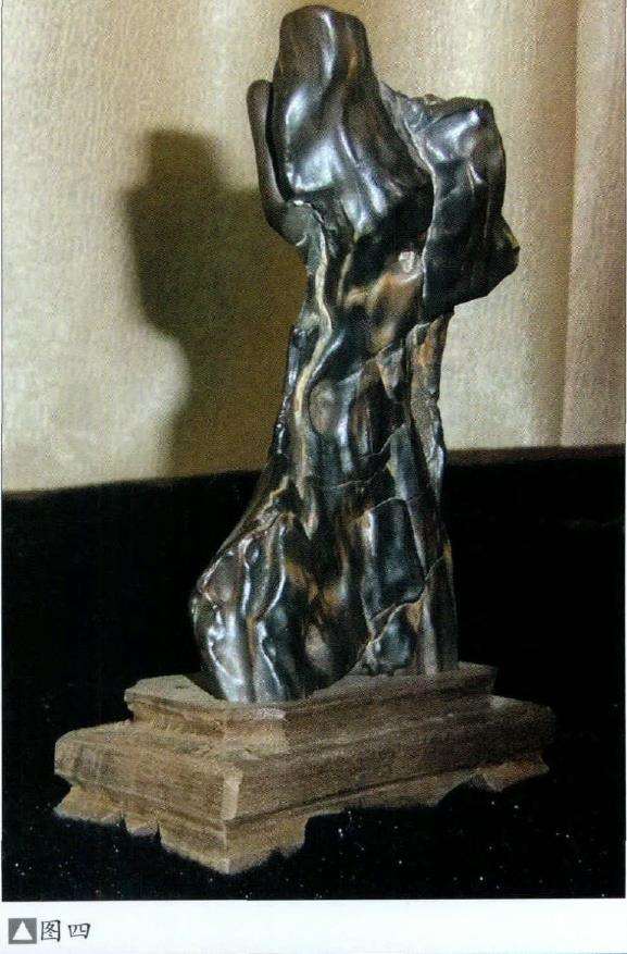 木化石更承载了人类赏石艺术的文化内涵5