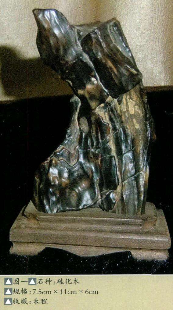 木化石更承载了人类赏石艺术的文化内涵