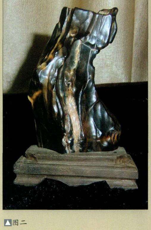 木化石更承载了人类赏石艺术的文化内涵2