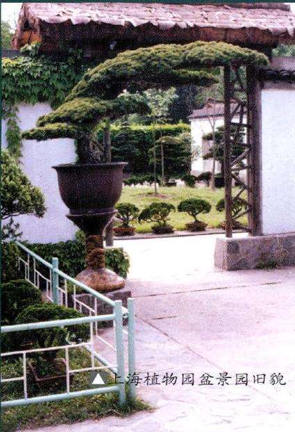 上海地区园林有3个个显著特点