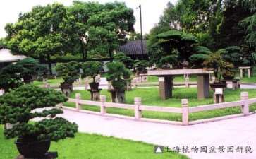 上海地区园林有3个个显著特点