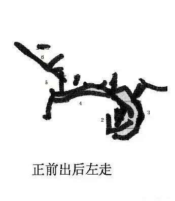 图解 曾宪烨谈盆景枝线的三维空间表现