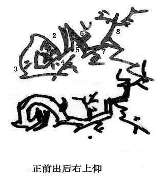 图解 曾宪烨谈盆景枝线的三维空间表现