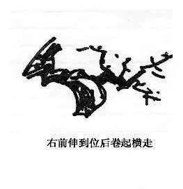 图解 曾宪烨谈盆景枝线的三维空间表现