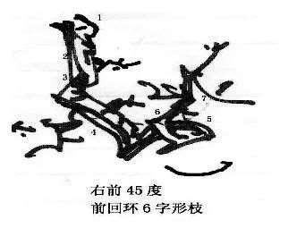 图解 曾宪烨谈盆景枝线的三维空间表现