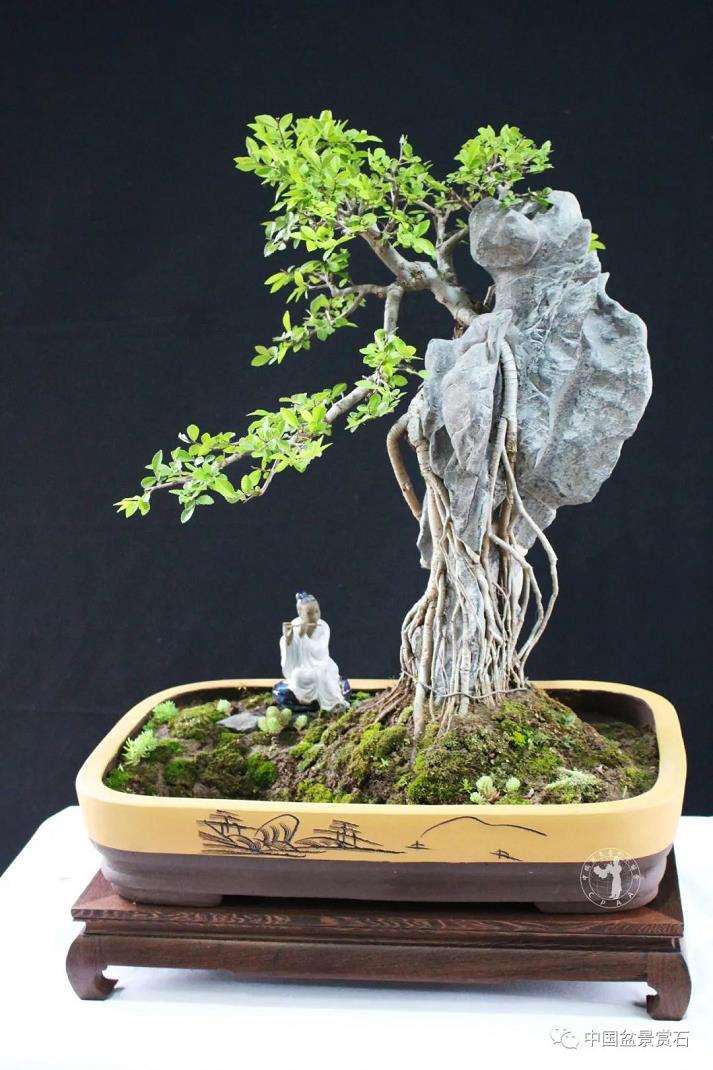 盆景艺术中的技与道是指什么 图片