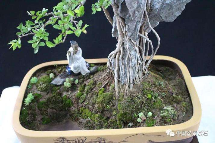 盆景艺术中的技与道是指什么 图片