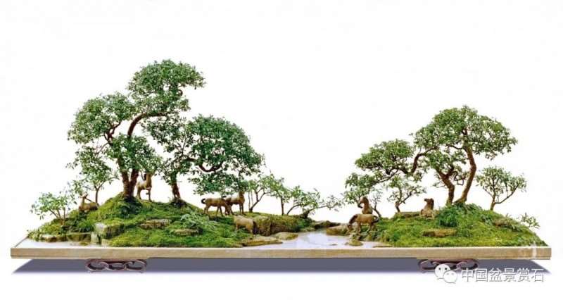 为什么中国尚未得到盆景创始国应有的地位