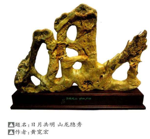 一浅谈传统根艺中的根书 图片2